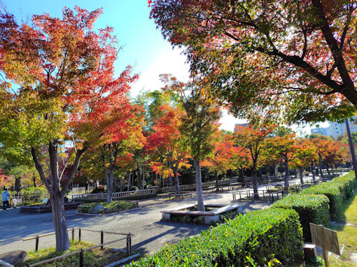 �ߘa�V�N�H�s�D�����̍g�t�W