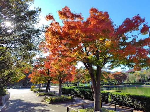 �ߘa�V�N�H�s�D�����̍g�t�P�O