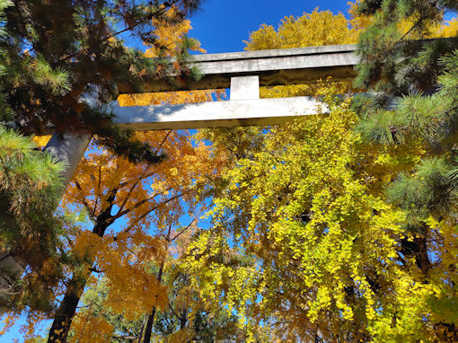 �ߘa�V�N�H���������{�̌��������؂P