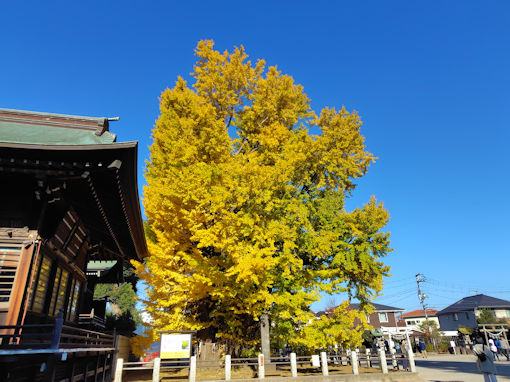 �ߘa�V�N�H���������{