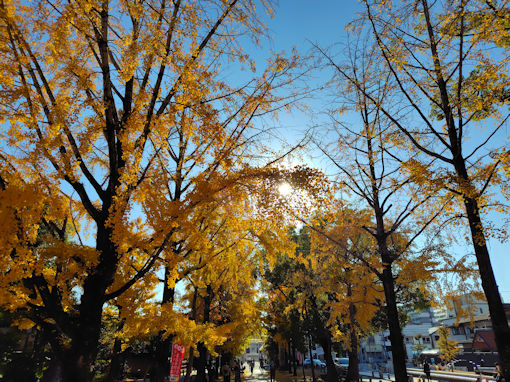 �ߘa�V�N�H���������{�̌��������؂S