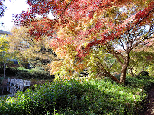 �ߘa�V�N�H�W�����T�C�r�Βn�����̍g�t�T