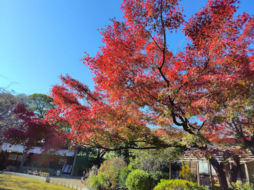 �ߘa�V�N�H��V�]�������̍g�t�Q