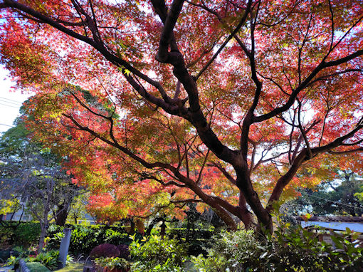 �ߘa�V�N�H��V�]�������̍g�t�R