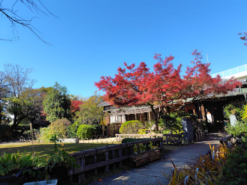 �ߘa�V�N�H��V�]�������̍g�t�S