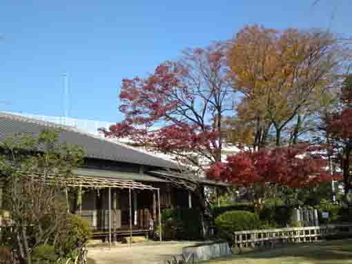 Makkotei Residence and colored trees