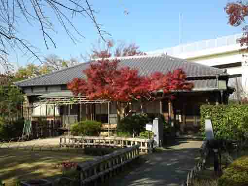 a colored maple tree in front of the residence