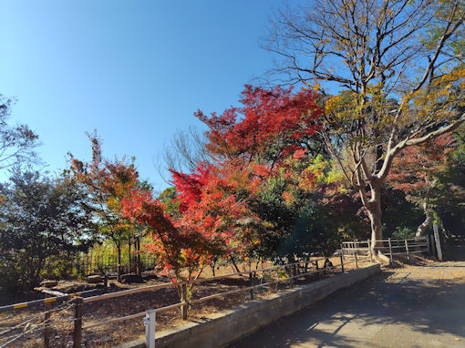 �ߘa�V�N�H�^�ԎR�O�@���̍g�t�P