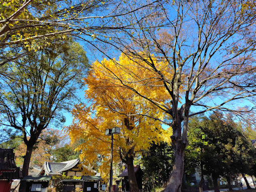 �ߘa�V�N�H�^�ԎR�O�@���̍g�t�R