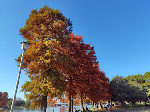 �ߘa�V�N�H�O�������̍g�t�S