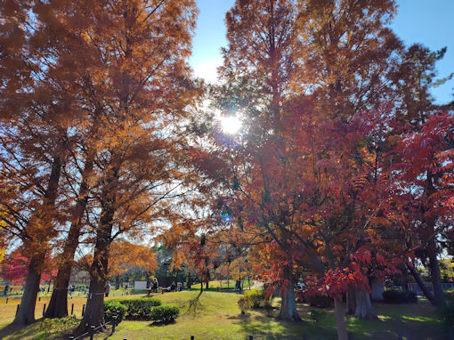 �ߘa�V�N�H���������̍g�t�S