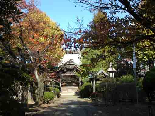 the colored leaves and the main hall