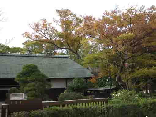 一之江名主屋敷長屋門と紅葉