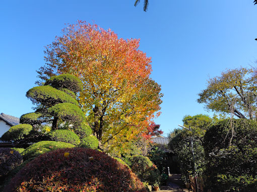 �ߘa�V�N�H��V�]�������̍g�t�R