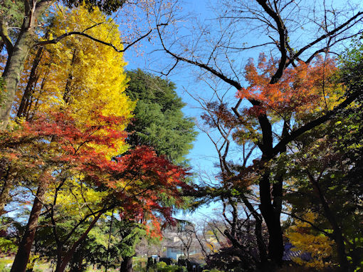 �ߘa�V�N�H���������̍g�t�Q