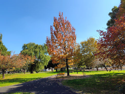 �ߘa�V�N�H������̍g�t�P