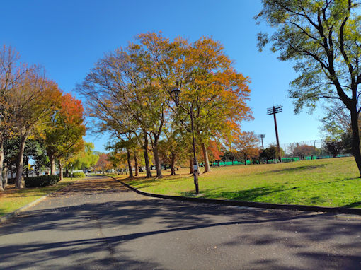 �ߘa�V�N�H������̍g�t�V