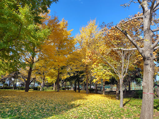 �ߘa�V�N�H������̍g�t�R