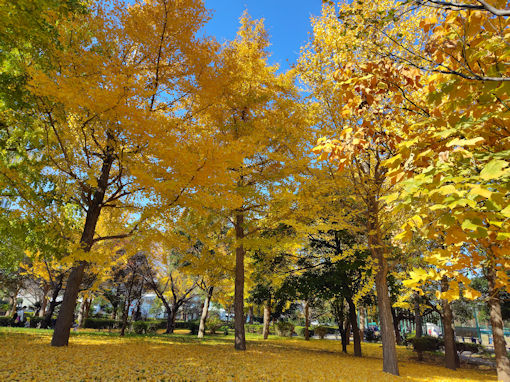 �ߘa�V�N�H������̍g�t�S