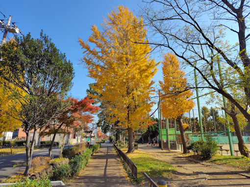 �ߘa�V�N�H������̍g�t�T