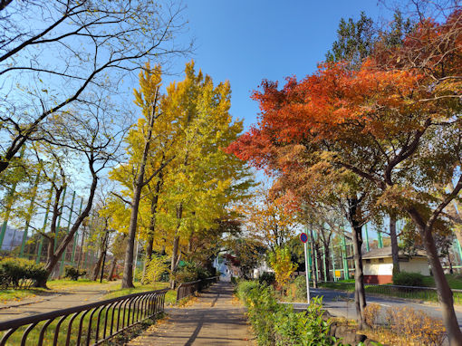 �ߘa�V�N�H������̍g�t�U