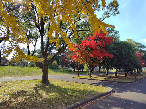 �ߘa�V�N�H������̍g�t�W