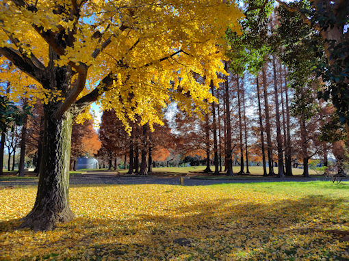 �ߘa�V�N�H������̍g�t�P�O