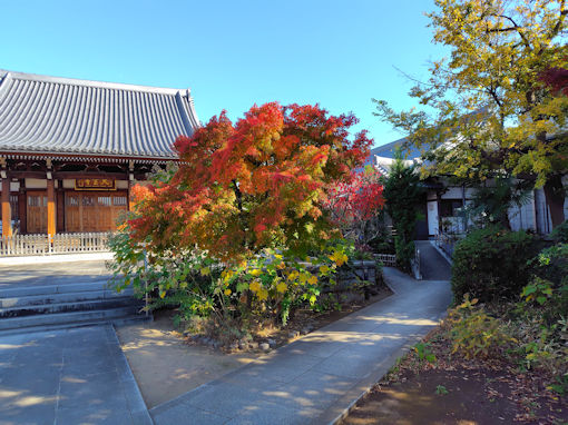 �ߘa�V�N�H���Ҏ��̍g�t�R