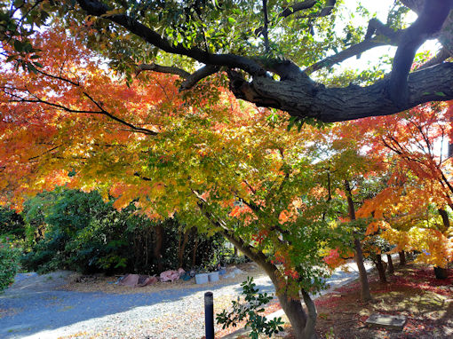 �ߘa�V�N�H���Ҏ��̍g�t�S