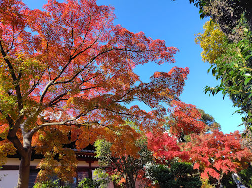 �ߘa�V�N�H���Ҏ��̍g�t�W