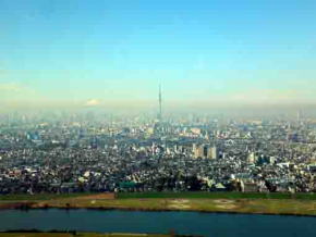 市川から見た富士山