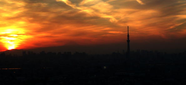 Mt. Fuji in the evening