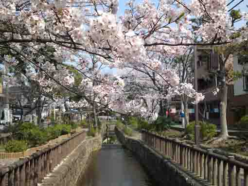 Furukawa Water Park