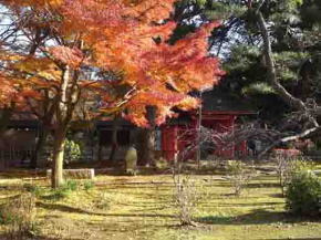 The Akamon Gate and autumnal leaves