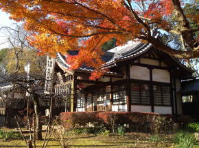 Mamasan Guhoji Temple in fall