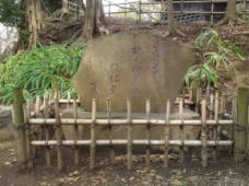 The stone tablet of Issa Kobayashi