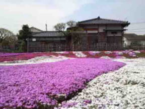 Guo Moruo Memorial Park