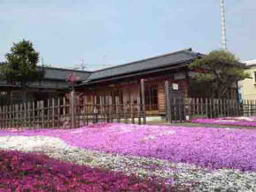 郭沫若記念館と芝桜