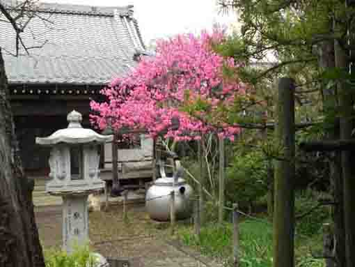 下総国国分寺伽藍配置図