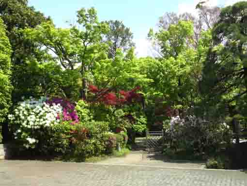 Genshinan and its stone garden in spring