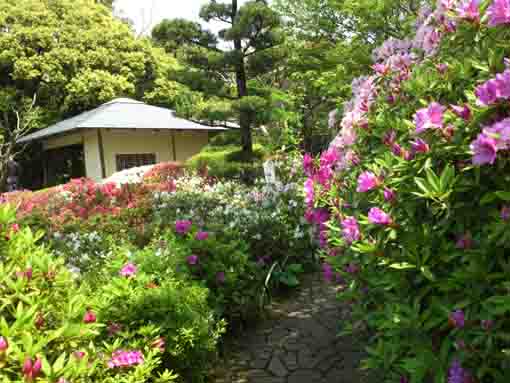the path on Tsutsujiyama in Heisei Garden