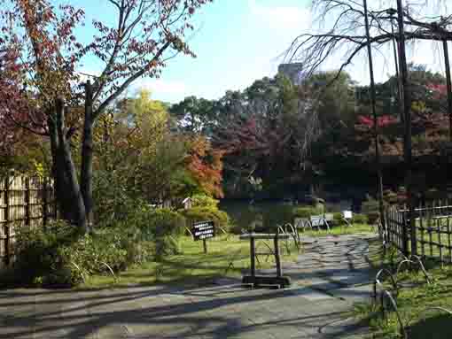 令和元年行船公園潮入りの池の紅葉�@