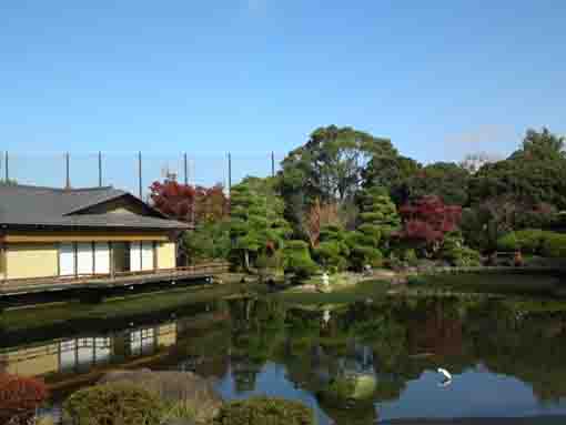 Genshinan by the pond in fall