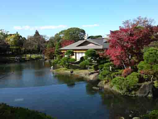 行船公園の紅葉１