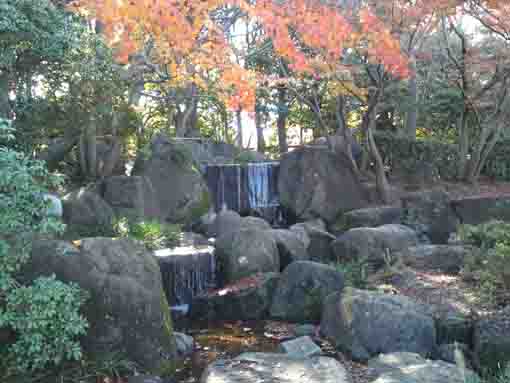 潮入りの池に落ちる滝と紅葉