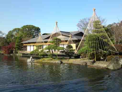 winter in Heisei Garden in Gyosen Park