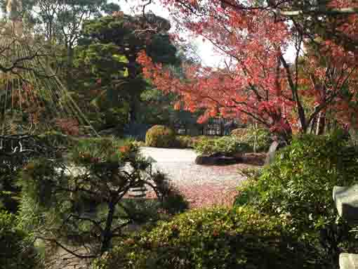 the stone garden in late fall