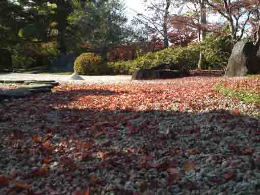 colored leaves covered with the stone garden