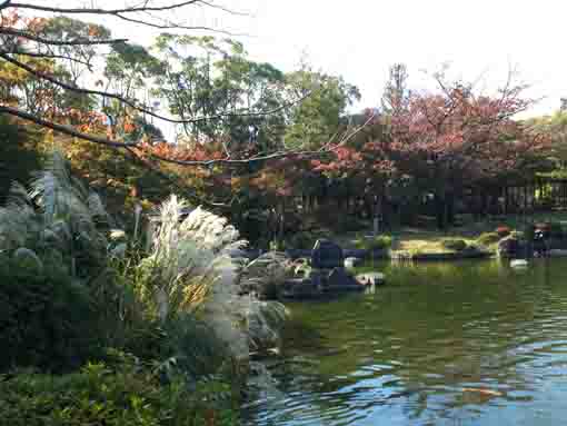 令和元年行船公園潮入りの池の紅葉�C