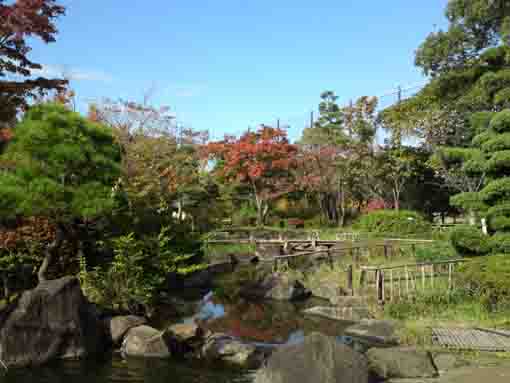 潮入りの池に流れ込む小川の秋の風景